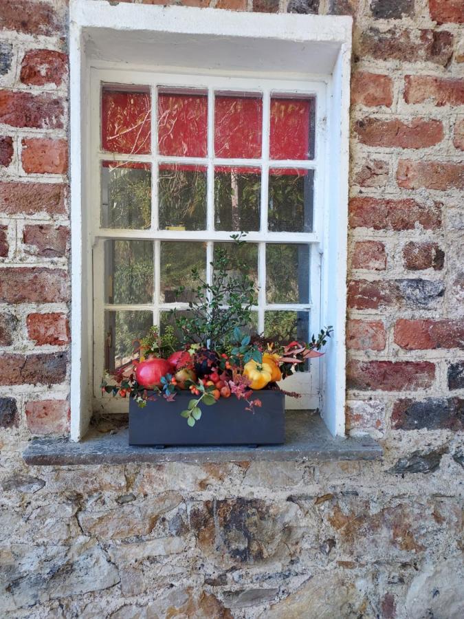 Lynam Cottage Ashford ภายนอก รูปภาพ